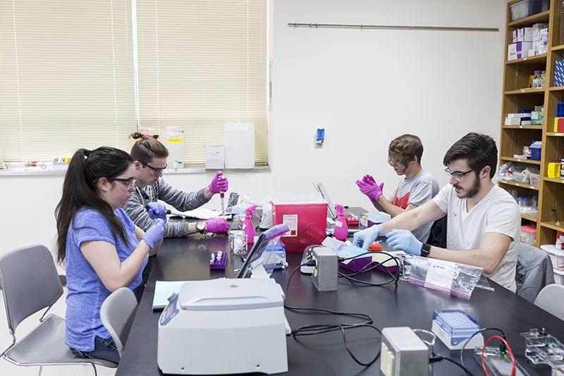 Maryville University students in chemistry lab